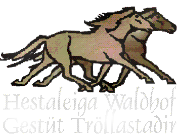 waldhof6.gif